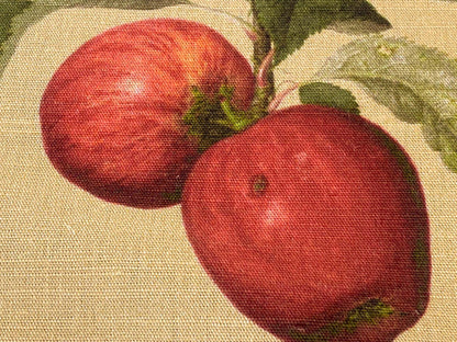 By Vertical Repeat 40 Inches Scalamandre Les Fruits Multi on Maize Grape Strawberry Cherry Plum Pear Blue MSRP USD 220/Y