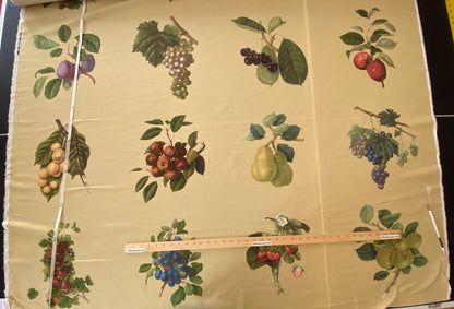 By Vertical Repeat 40 Inches Scalamandre Les Fruits Multi on Maize Grape Strawberry Cherry Plum Pear Blue MSRP USD 220/Y