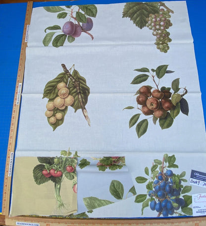 18e Berkbox9 Length Scalamandre Print 34"L x 27" W Les Fruits Multi On Ivory