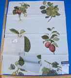 Scalamandre Berkbox9 Print