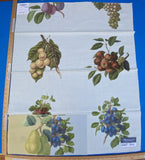 18g Berkbox9 Length Scalamandre Print 34"L x 27" W Les Fruits Multi On Ivory