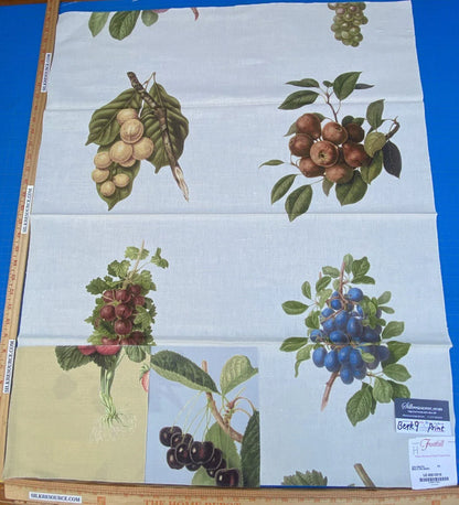 18h Berkbox9 Length Scalamandre Print 34"L x 27" W Les Fruits Multi On Ivory