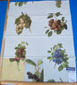 18h Berkbox9 Length Scalamandre Print 34"L x 27" W Les Fruits Multi On Ivory
