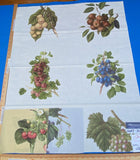 18i Berkbox9 Length Scalamandre Print 34"L x 27" W Les Fruits Multi On Ivory