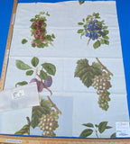 18j Berkbox9 Length Scalamandre Print 34"L x 27" W Les Fruits Multi On Ivory