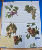 18l Berkbox9 Length Scalamandre Print 34"L x 27" W Les Fruits Multi On Ivory