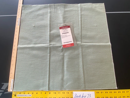 38 Berkbox73 Square Silk by Scalamandre Colony Rice Bean Artemisia Green Small Scale