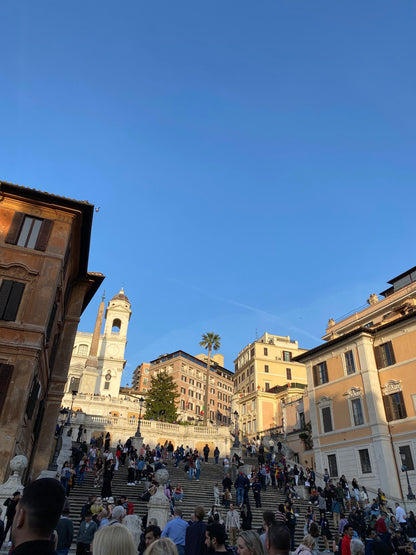 Scalamandre Audrey Cut Velvet Linen Purple Renaissance Artichoke Rose MSRP USD 427/Y