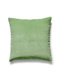Scalamandre Torino Velvet 22 X 22 - Meadow Decorative Pillow