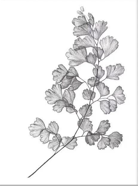 Bty Kravet Couture Silk Colombine Coin Gold Silver Baby's Breath Maidenhair Fern MSRP USD 298/Y