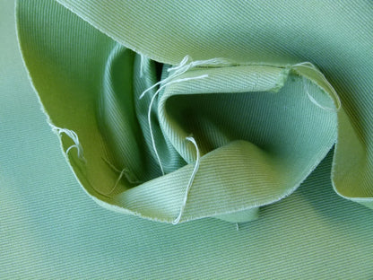 Scalamandre Cannes Verde Sbiadito Spring Green Cotton Italy MSRP USD 120/Y