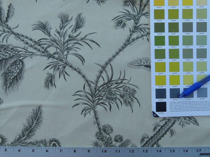 By Yd Scalamandre Grey Watkins Languedoc Charcoal Black White Botanic Fern and Thistle Southern France Toile Circa 1790 MSRP USD 364/y