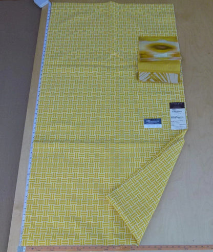 3 Ev1 Scalamandre 2y Reverso Mimosa Reversible