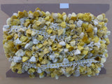 Scalamandre Moulin Yellows 100% Silk Tassel Trim Hand Made Yellow Gold Cream MSRP USD 280/Y