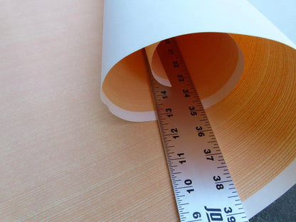 Scalamandre Aria Strie Apricot Wallpaper 5 Yards Single Roll MSRP USD 126/single Roll