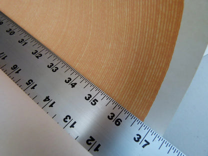 Scalamandre Aria Strie Apricot Wallpaper 5 Yards Single Roll MSRP USD 126/single Roll