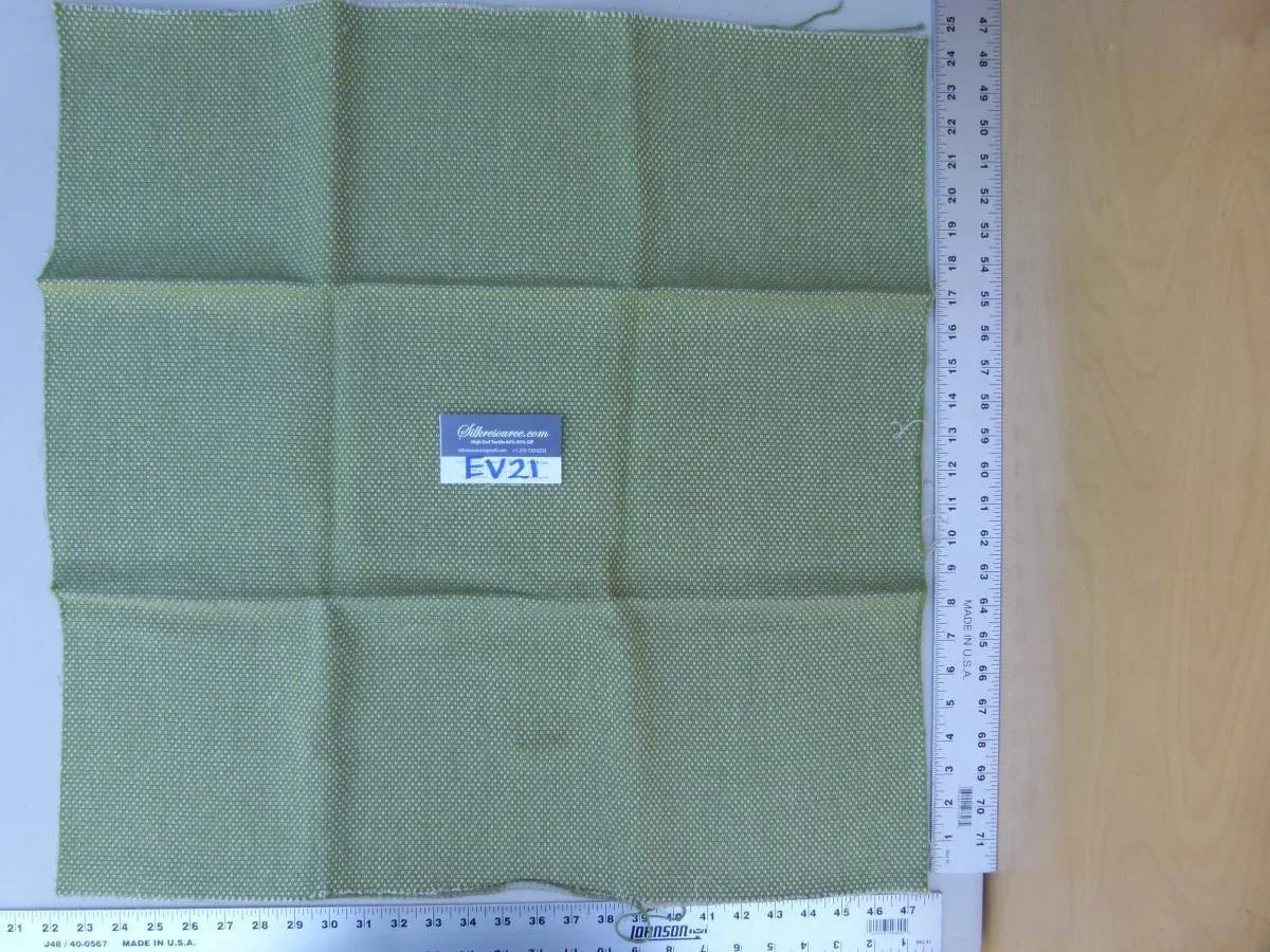 23 Ev21 Scalamandre Green With White