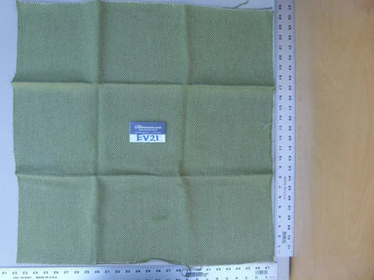 23 Ev21 Scalamandre Green With White