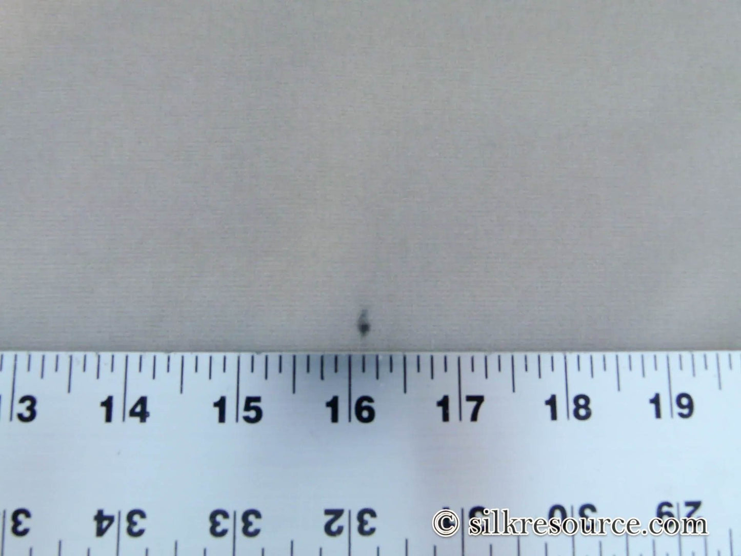 Scalamandre Indus Flax Light Cream Supple Velvet Italy MSRP USD 240/Yd