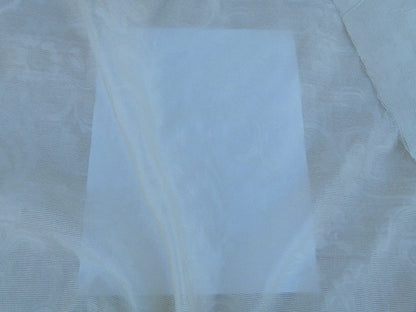 Scalamandre Musetta Ecru Delicate And Angelic Silk Sheer Floral Paisley White MSRP USD 156/y