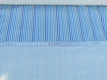 Scalamandre Clyfford Stripe Ivory/blue White Small Scale Silk Stripe MSRP USD 542