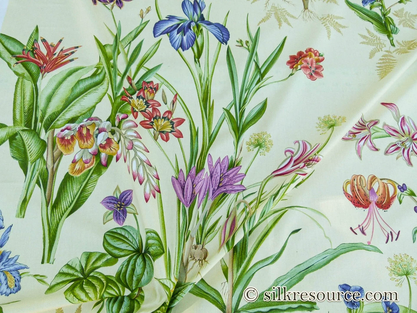 Scalamandre Le Jardin Du Bonheur Yellow Realistic Botanical Drawing And Painting. MSRP USD 612/y