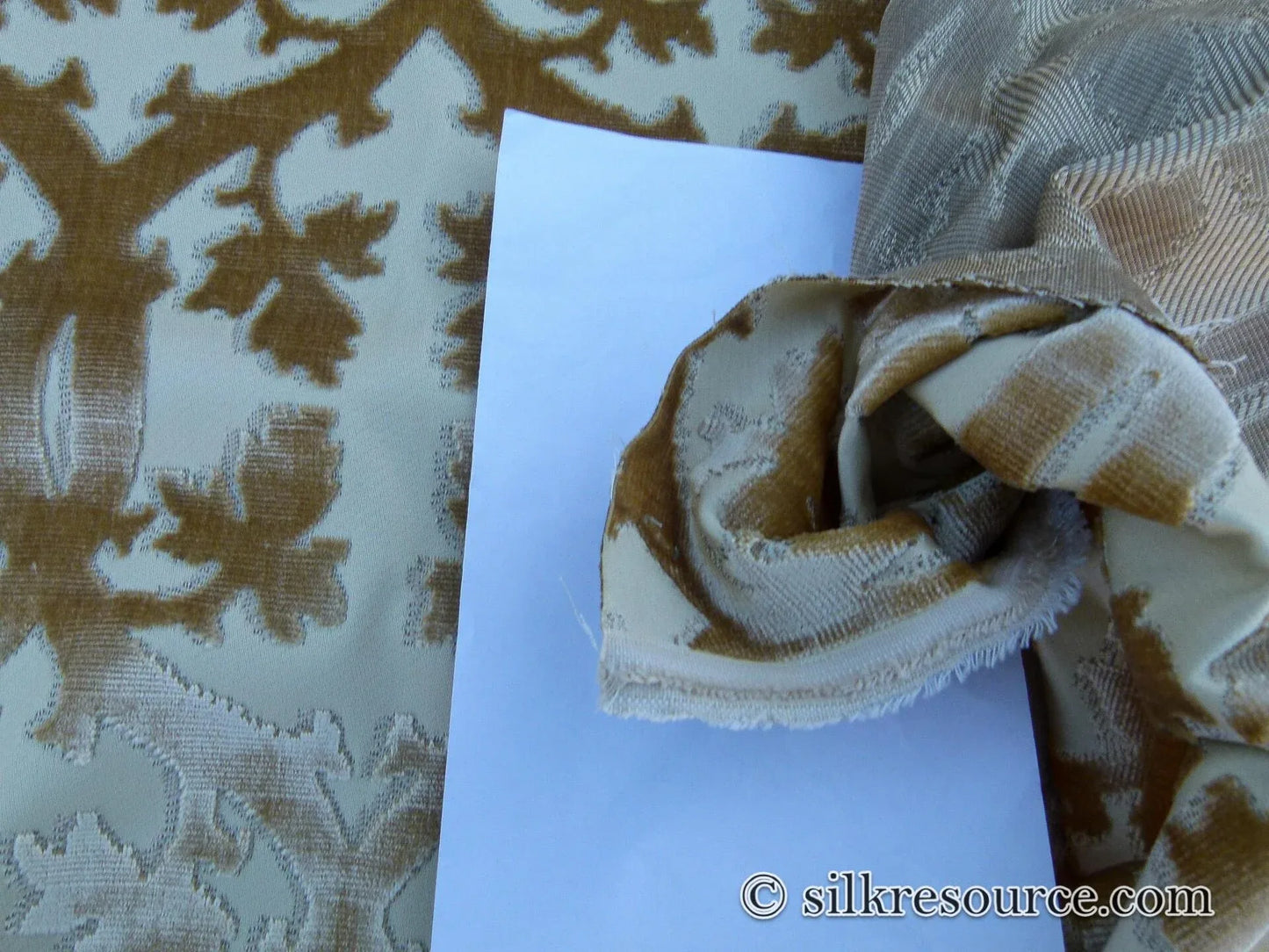 Scalamandre Falk Manor House Beige On Ivory Timeless Silk Cut Velvet Botanical Pattern MSRP USD 498/y