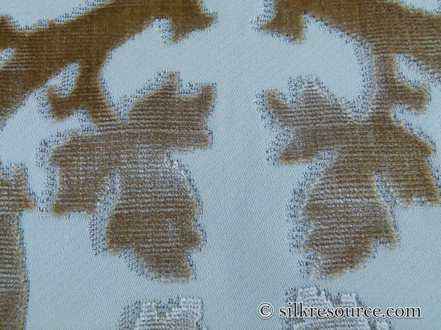 Scalamandre Falk Manor House Beige On Ivory Timeless Silk Cut Velvet Botanical Pattern MSRP USD 498/y