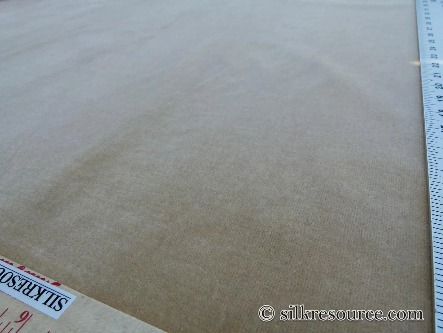 Scalamandre Folio Bisque Superb Silk Velvet With Cuddly Silk Pile Yet Durable!brown MSRP USD 566/y