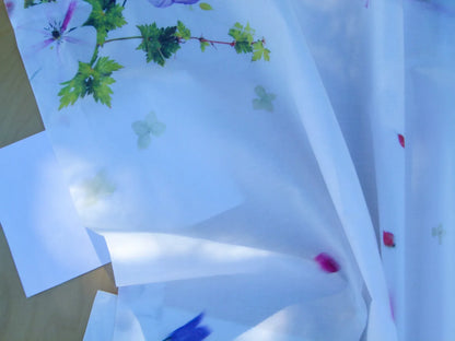 Scalamandre Length 2.4y Christian Fischbacher Sommerwind CS Summer Bouquet Fabric  MSRP USD 400+/y