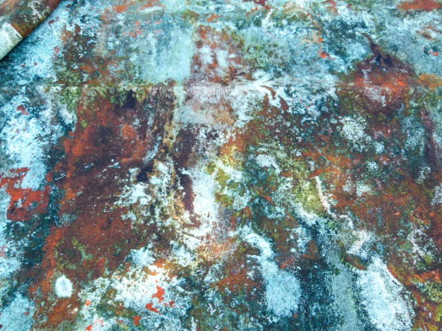 Scalamandre Length 2.4y Jean Paul Gaultier Oxydation Jade Cotton Abstract Green MSRP USD 500+/yard