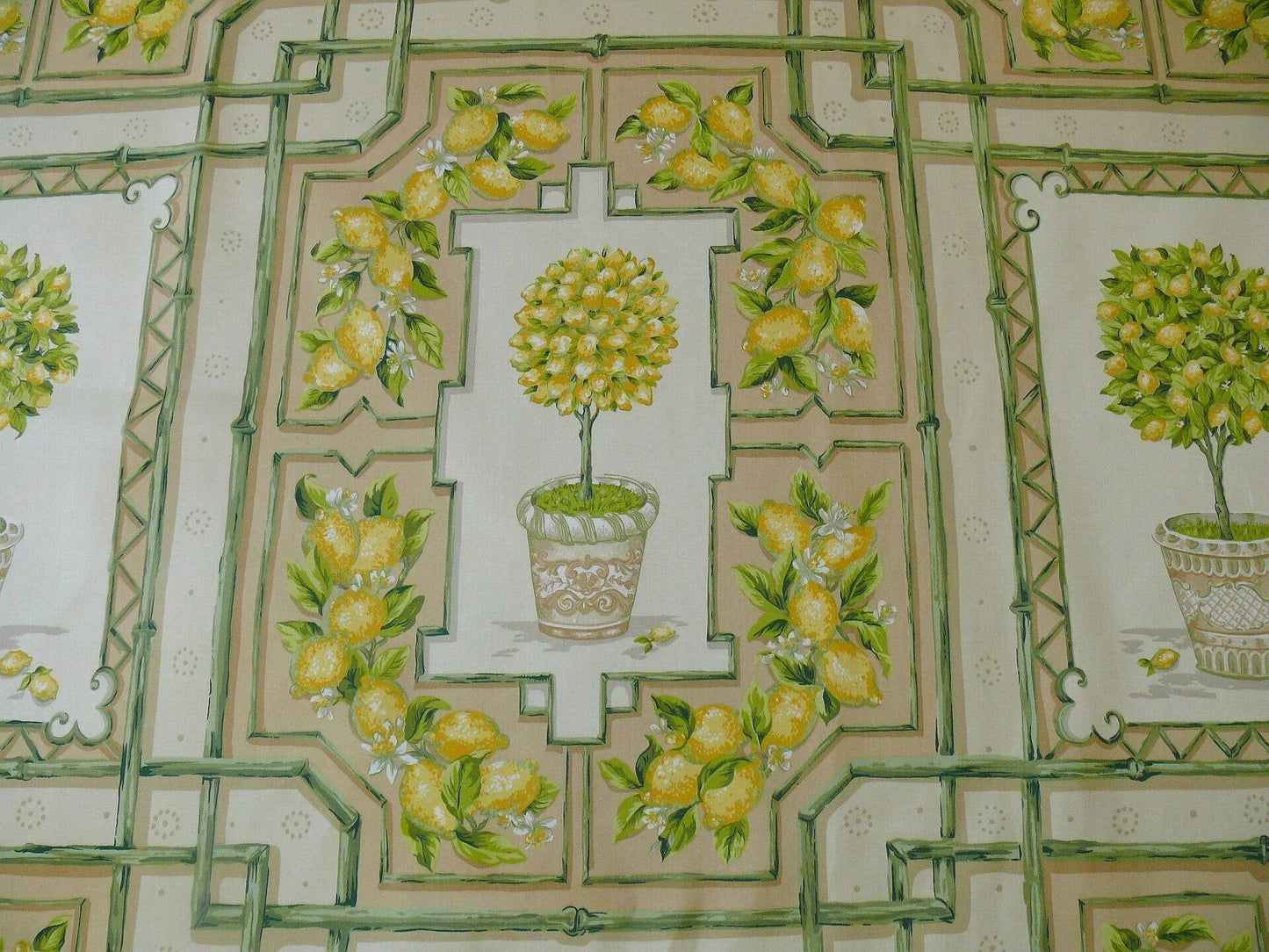 Tyler Hall "lemoncello" Lemon Tree Yellow Green Bamboo Lattice Orangery Citrus Topiary