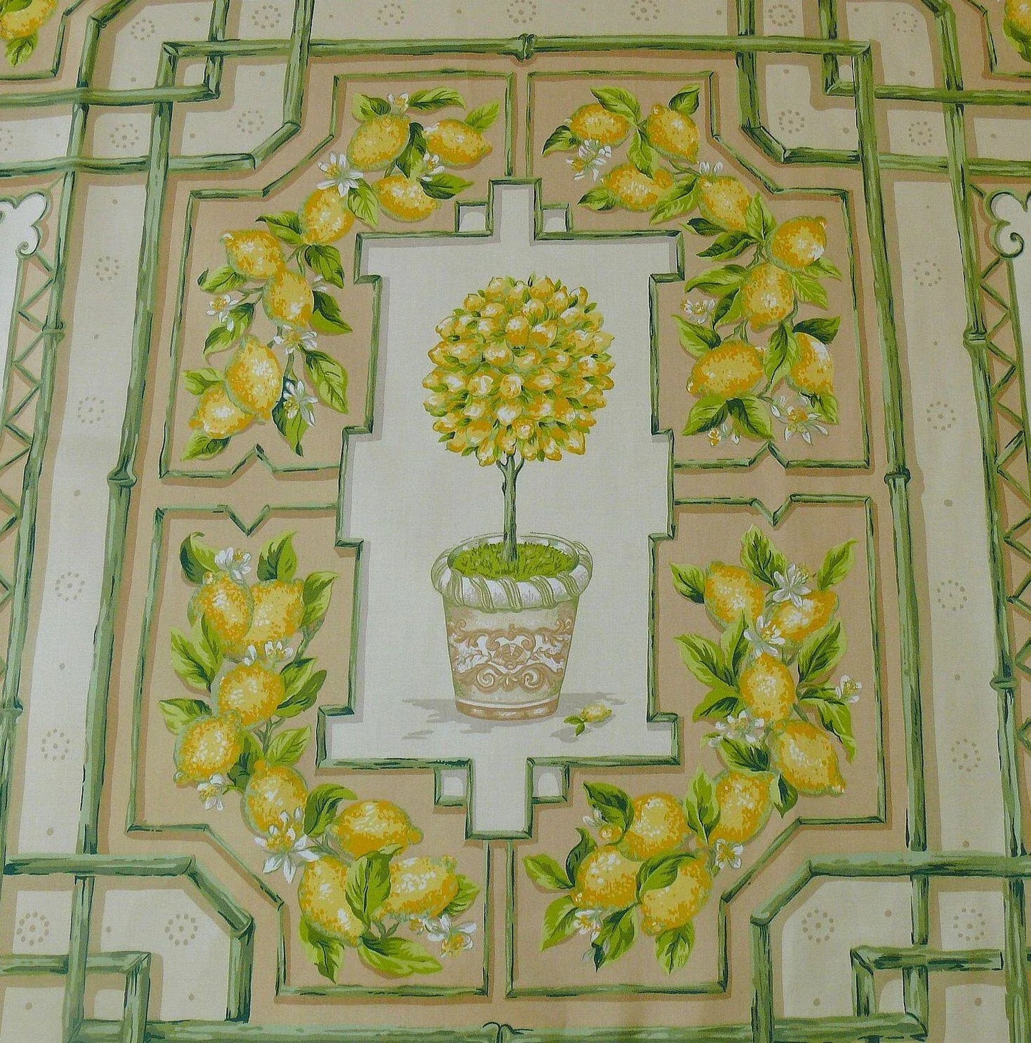 Tyler Hall "lemoncello" Lemon Tree Yellow Green Bamboo Lattice Orangery Citrus Topiary