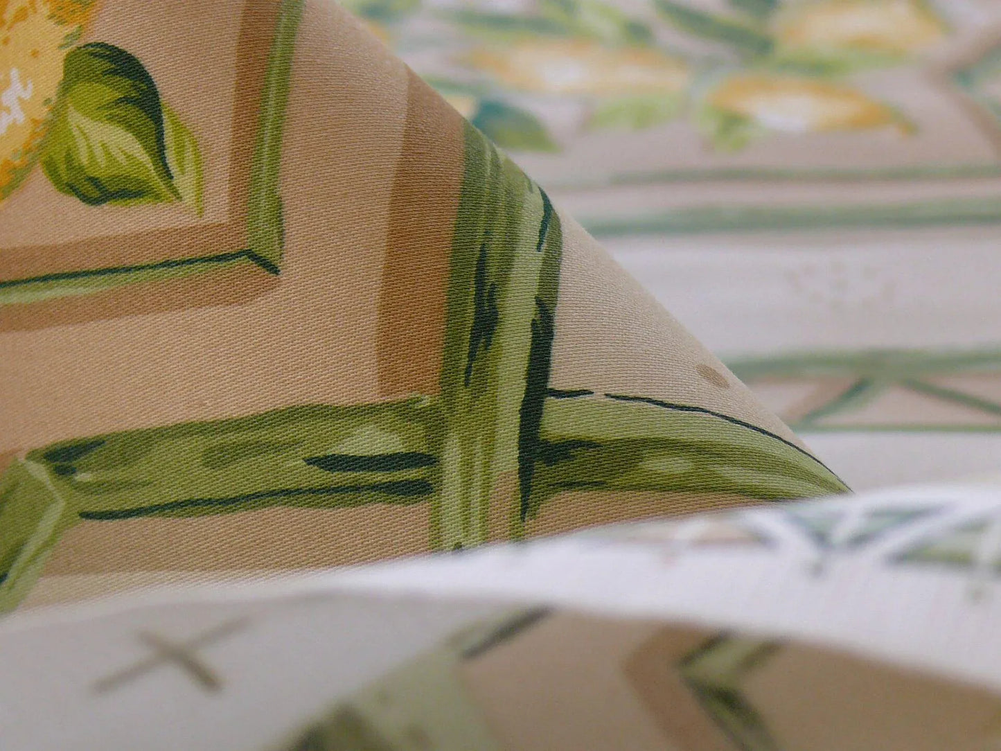 Tyler Hall "lemoncello" Lemon Tree Yellow Green Bamboo Lattice Orangery Citrus Topiary