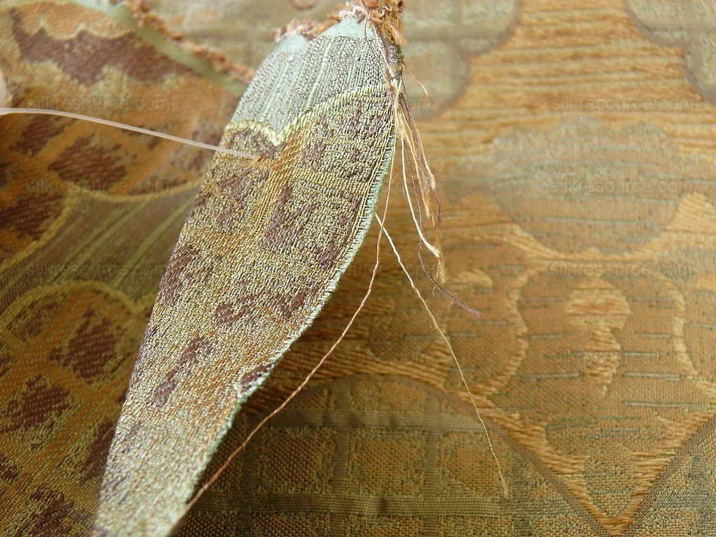 by yard 100% Silk Lampas Aged Metal Large Medallion "cognac" Brown Gold MSRP USD 328/yard