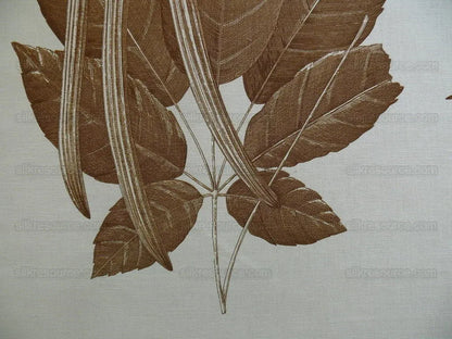 Clarence House Linen ""le Flora Danica" Coffee White