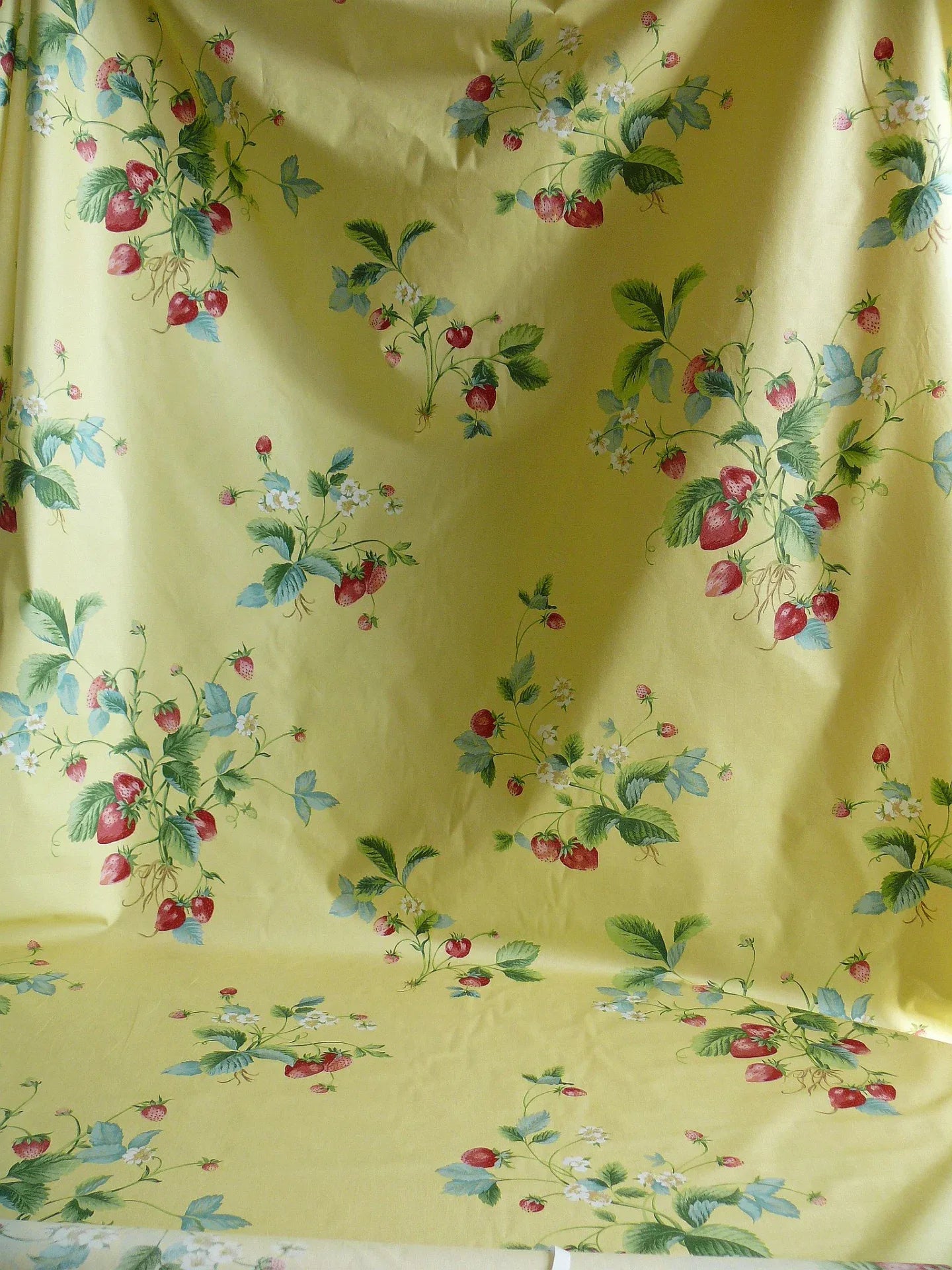 Stroheim &amp; Romann Louisa Strawberry Print Butter Yellow Pink Red Delicious Delicate