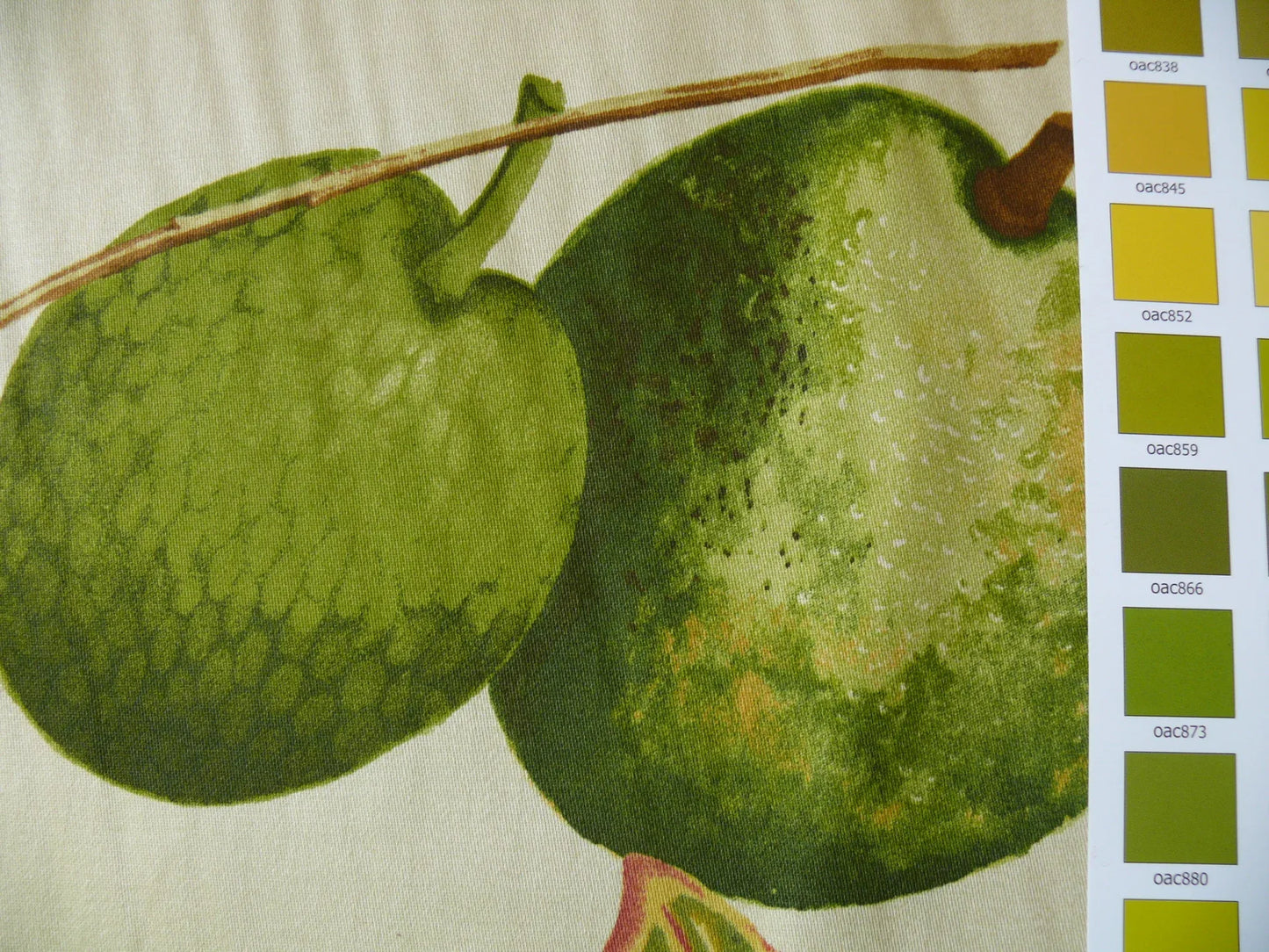 HiEND HF. HOME EMOTION FRUIT COCKTAIL TROPICAL CALADIUM 20 SCREENS! 8.8YDS