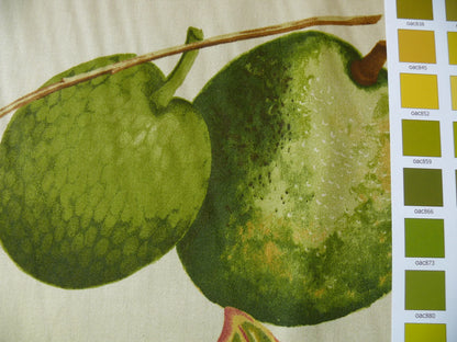 HiEND HF. HOME EMOTION FRUIT COCKTAIL TROPICAL CALADIUM 20 SCREENS! 8.8YDS