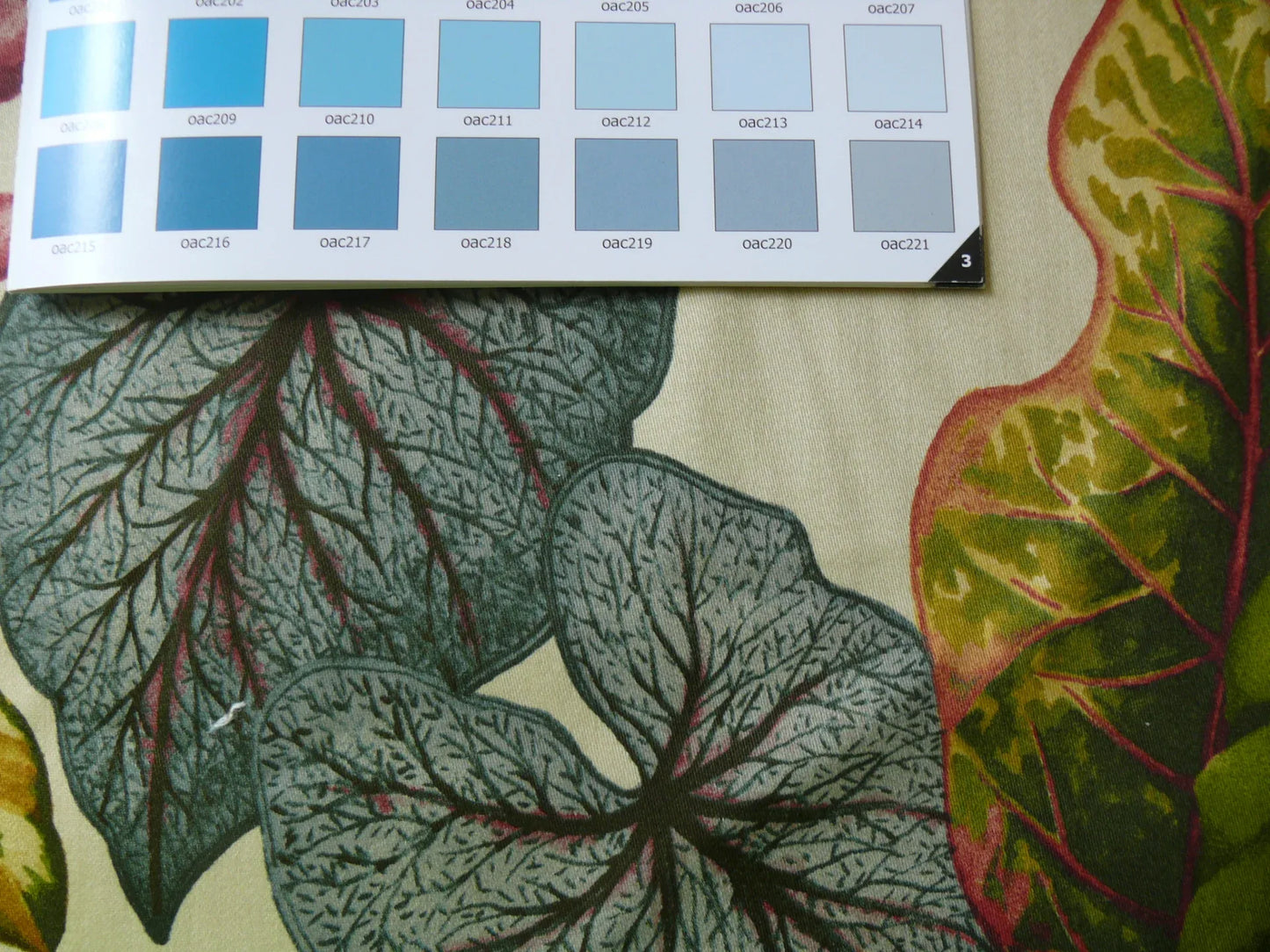 HiEND HF. HOME EMOTION FRUIT COCKTAIL TROPICAL CALADIUM 20 SCREENS! 8.8YDS