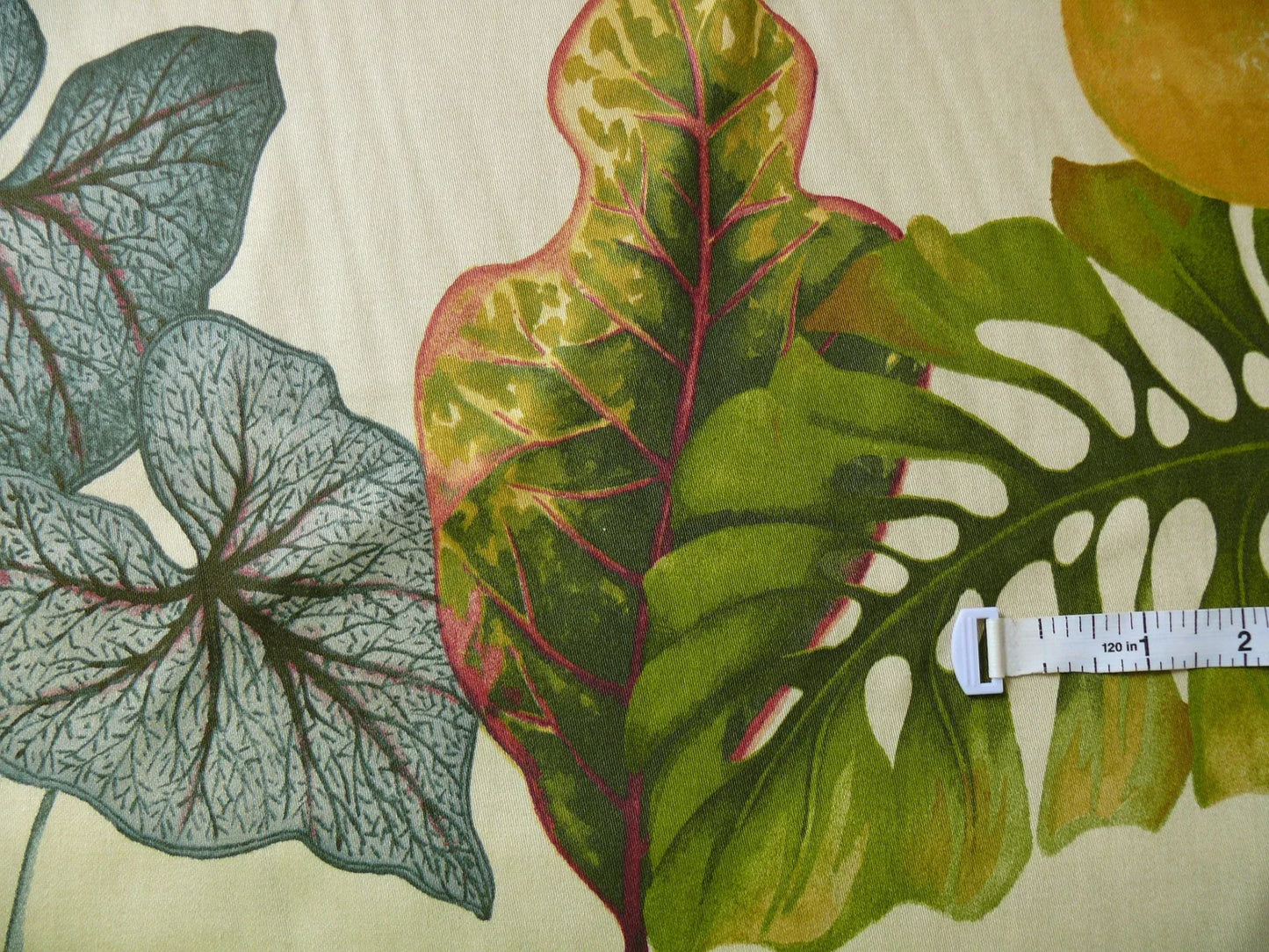 HiEND HF. HOME EMOTION FRUIT COCKTAIL TROPICAL CALADIUM 20 SCREENS! 8.8YDS