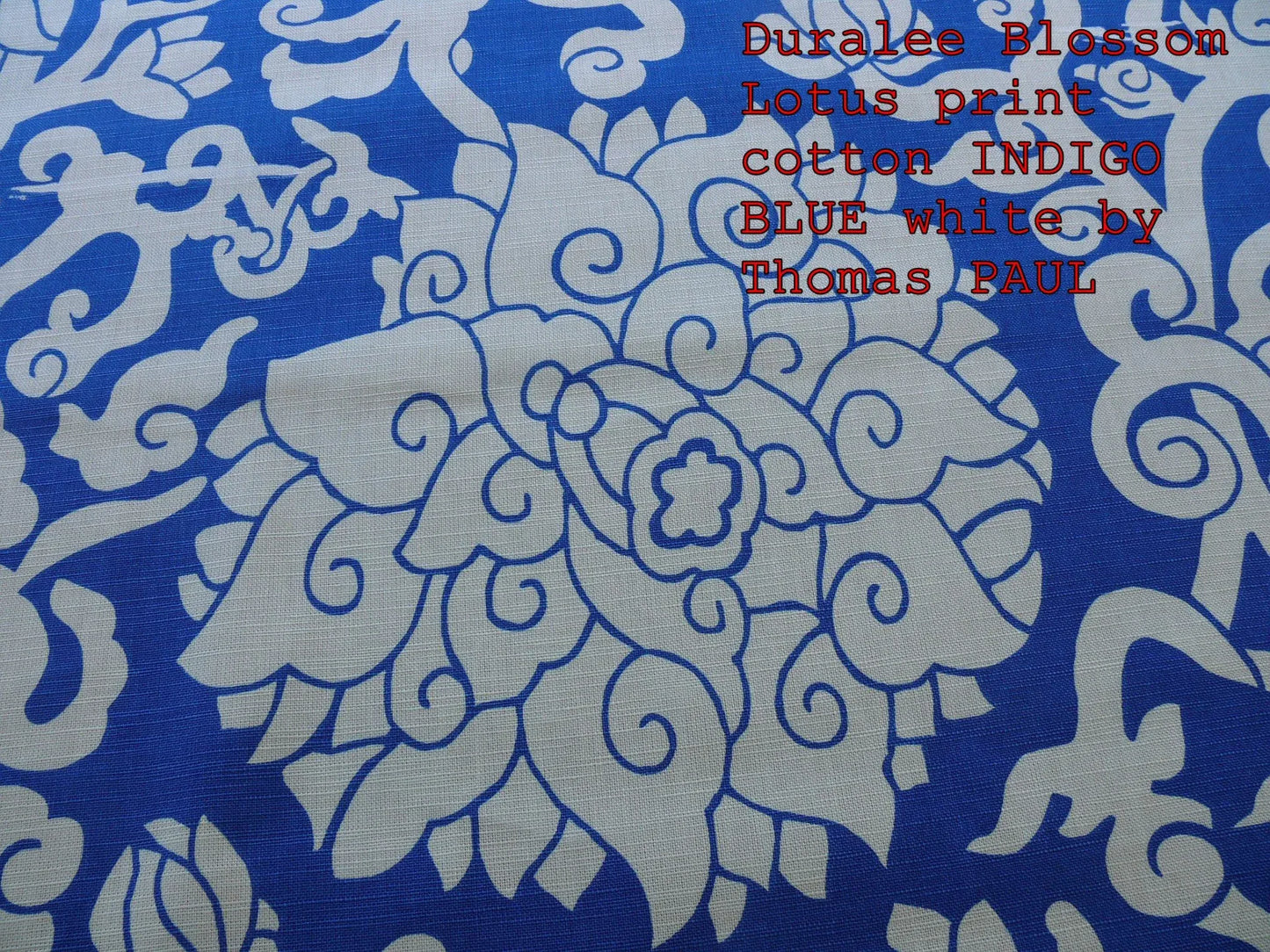 10Y+ Duralee Blossom Chinoiserie Porcelain print cotton INDIGO BLUE white by Thomas PAUL