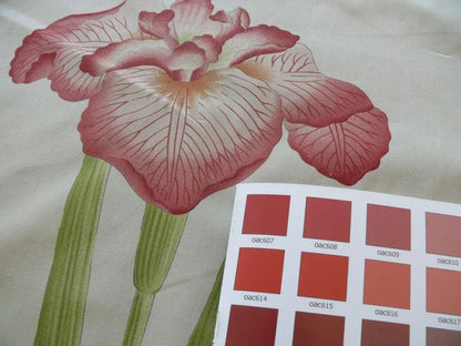 Clarence House Meiji Iris Print 27-colors On Natural Background Cotton Satin 27 Screens! Japanese