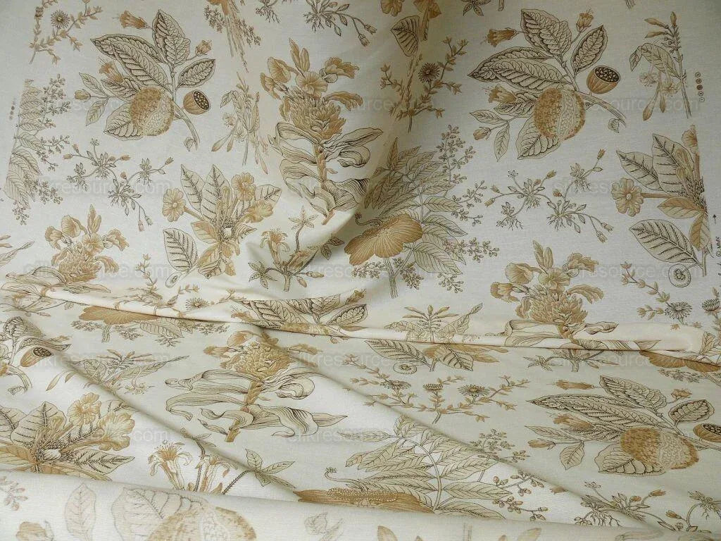 1.75y Clarence House Avignon Linen Print Natural Grey Natural