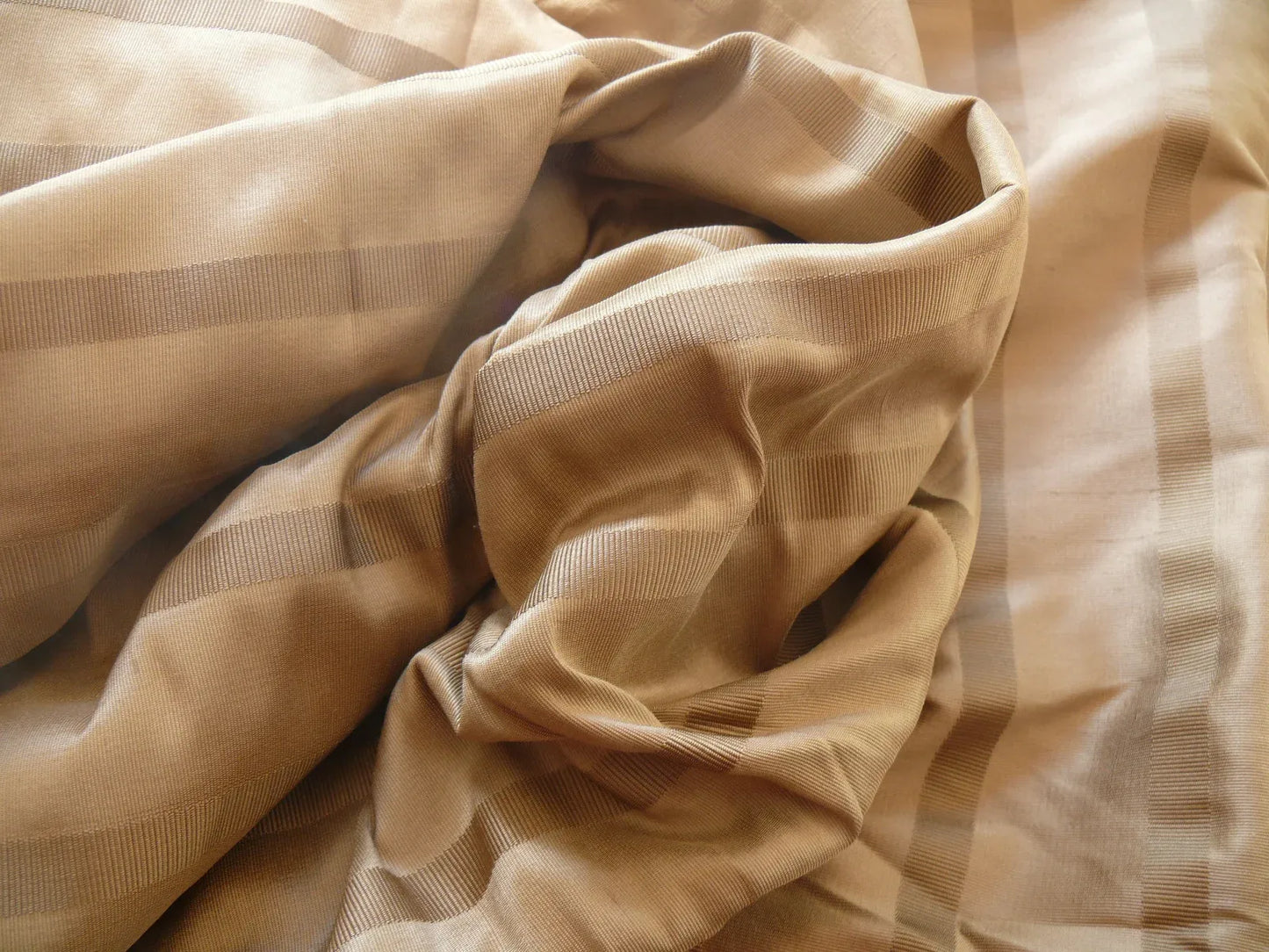 Coraggio Textile Fabric 3yard from Italy Highest Quality Silk Stripe Brown Beige Renaissance MSRP USD 300+/yard