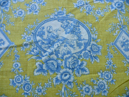 Brunschwig and Fils En Plein Air French Country Print Blue Birds Animals Yellow Bty