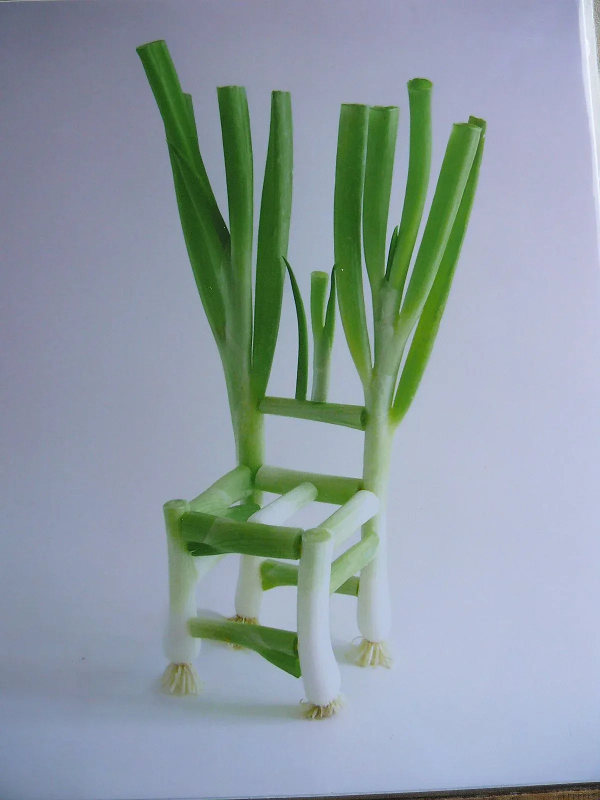 Flower Chair Green Onion Art Installation &amp; Photograph Print Green Onion 8x10"