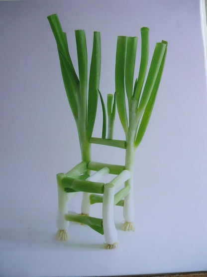 Flower Chair Green Onion Art Installation &amp; Photograph Print Green Onion 8x10"