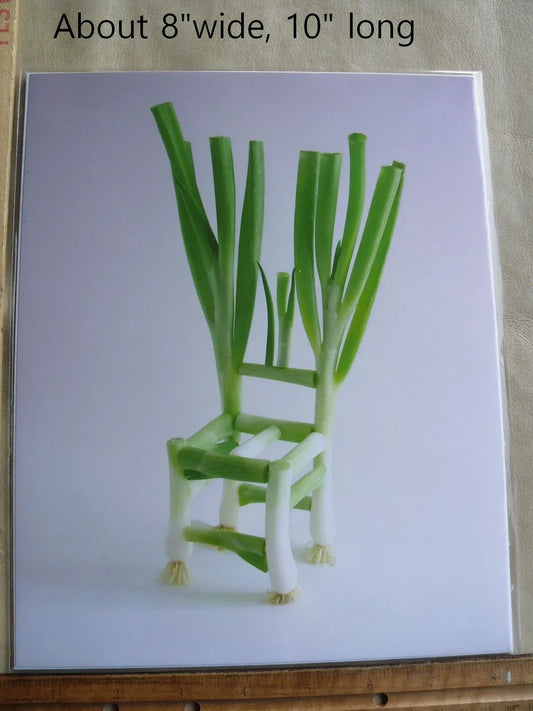 Flower Chair Green Onion Art Installation &amp; Photograph Print Green Onion 8x10"