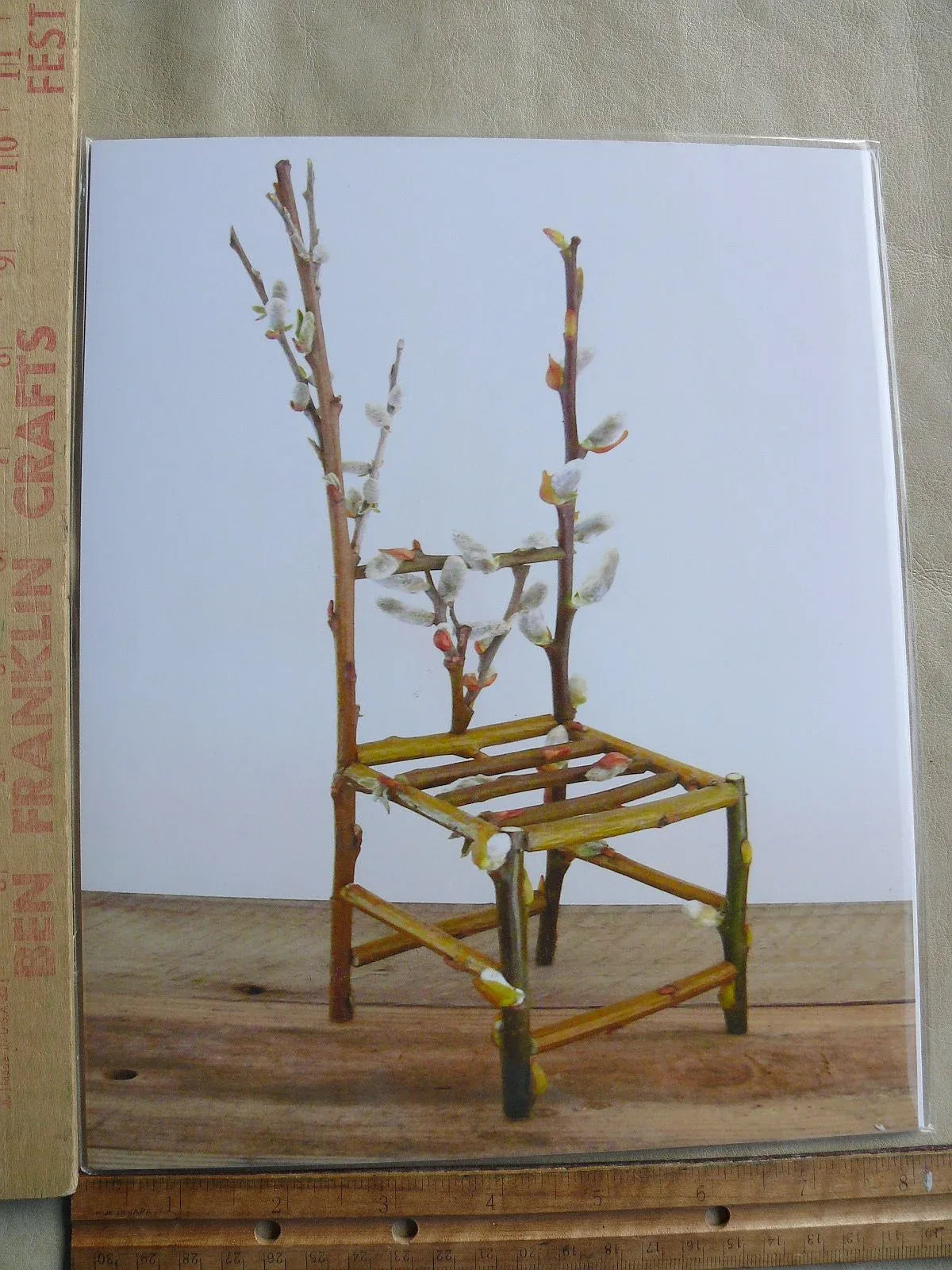 Flower Chair Pussy Willow Art Installation and Photograph Print Pussy Willow 8x10 inches